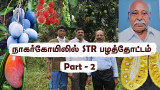 🍍 Exotic Fruits தமிழரின் பெருமை part 2 ! 🌿Nagercoil STR பழத்தோட்டம் -  A Blend of Nature✨