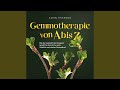 Kapitel 37 - Gemmotherapie von A bis Z: Mit der Heilkraft der Knospen Schritt für Schritt zu...