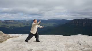 Grand-master Lai Chun Wah demonstrates Fu family Tai Chi kuen