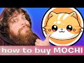 HOW TO BUY MOCHI COIN