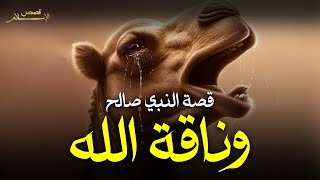 نواف السالم | صالح عليه السلام مع قوم ثمود العمالقة وماذا فعلوا بناقة الله وكيف كان هلاكهم