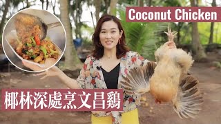 Deep in coconut forest and cook Wenchang chicken in Hainan 深入海南椰林烹飪超美味文昌雞 【Yummy Shanny】