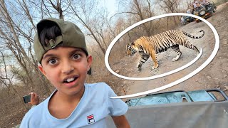 Real Tiger Spotted in Jungle Safari 😱 | Siriska Tiger Reserve | Yaatri