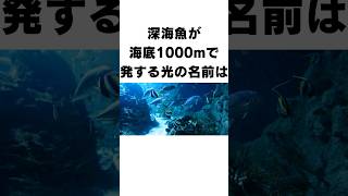 【雑学】海の生物に関する雑学２#shorts