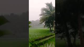 vivasayam whatsapp status #shorts #vivasayam #vivasayi #agri #tamilsong #trendingvideos #seeman