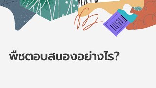 สรุปชีวะ | การตอบสนองต่อสิ่งเร้าของพืช | ประเภทของการตอบสนอง