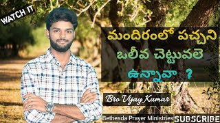 characteristics of olive tree. || latest Telugu Christian message 2021 || telugu christian messages.