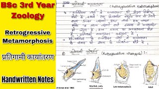 प्रतिगामी कयांतरण (Retrogressive Metamorphosis) \u0026 एसिडियन लार्वा का महत्व BSc 3rd Year Zoology