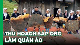Kịch tính THU HOẠCH SÁP ONG KHỦNG - Hải SAPA TV tham gia lễ hội lấy sáp ong làm áo quần tại Cao Bằng