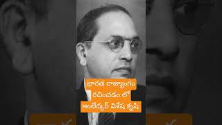 రాజ్యాంగ రచన లో అంబేద్కర్ కృషి #indianconstitution