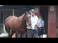 2017 gold coast magic millions sizzling x dayita australian bloodstock