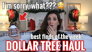 DOLLAR TREE HAUL **BRAND NEW** FINDING THE $1.00 HIDDEN GEMS