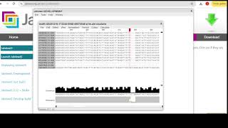 MSA Jalview: Visualizing Multiple Sequence Alignment Using Web-Based Tools (DNA Alignment Tutorial)