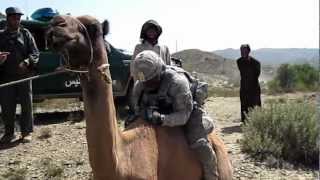 FUNNY: US Soldier falls off camel