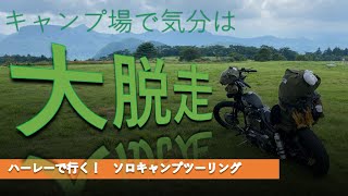 【ハーレーで行く】キャンプ場で気分は大脱走　ソロキャンプツーリング