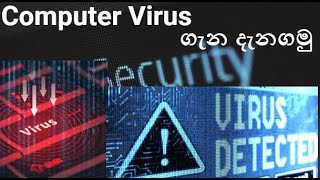 Computer Virus  වර්ග ගැන දැනගමු | Let's talk about some computer viruses (Sinhala)