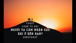 tarot: chọn tụ bài: người ta cảm nhận sao khi ở bên bạn?