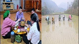 After hiring rice farmers, the uncle and aunt went to visit their husband's family.