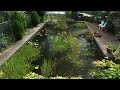 Building a Natural Pond from a Swimming Pool - Ep 4 Building a Natural Pond from a Swimming Pool - Ep 4