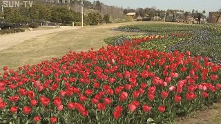 淡路島で花みどりフェア開幕　新型コロナで半年間延期