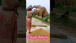 Bangladesh Village Beauty##villagelife #village #Bangladesh