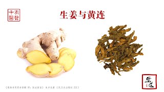 31 生姜与黄连（朱步先《寒热并用药对串解》）