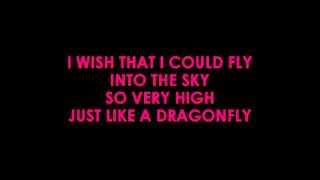 Lenny Kravitz   Fly Away Karaoke