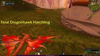 Incriminating Documents – WoW Classic - TBC Quest Guide