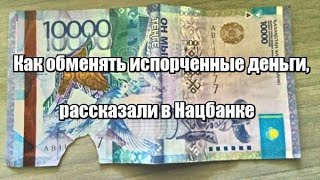 Как обменять испорченные деньги, рассказали в Нацбанке