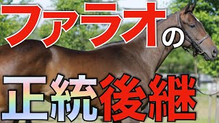 【成功気配】怪物アメリカンファラオの正統後継誕生！カフェファラオにかかる期待は大きい。