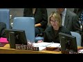 security council debate on bosnia and herzegovina