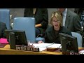 security council debate on bosnia and herzegovina