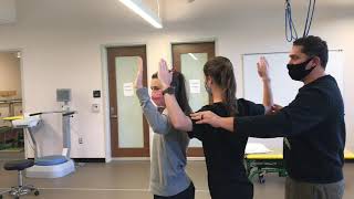 Facet joint orientation
