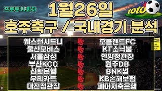 토토분석 스포츠분석 프로토분석 1월26일 국내농구 국내배구 호주축구 주요경기분석