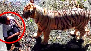 8 Most Shocking Animal Attacks Caught on Tape