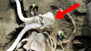 8 Most INCREDIBLE Recent Archaeological Discoveries!