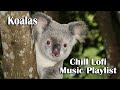 Koala Bears and Chill Lofi Hip-Hop BGM - Calming Background Music Playlist to Relax Study and Work