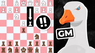 Goose (2999 ELO) vs Stockfish 17 (3870 ELO)