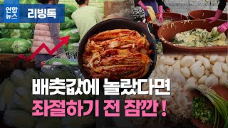 치솟는 배춧값…'슬기로운 김장생활'/ 연합뉴스 (Yonhapnews)