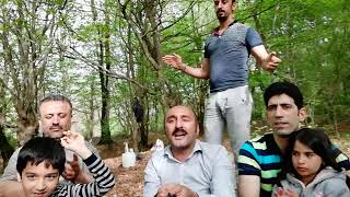 ترانه مازندرانی ربابه جان با اجرای عبداله ساورعلیا طبیعت زیبای شمال ایران