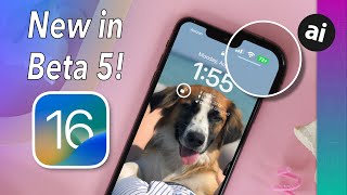 Everything New in iOS 16 Beta 5! Battery Percentage In Status Bar!