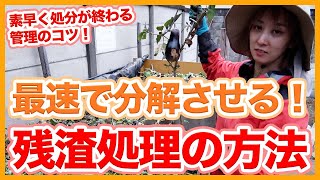 How to quickly dispose of vegetable residue taught by a Japanese farmer !