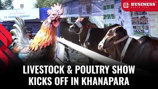 Livestock And Poultry Show 2025 Kicks Off In Khanapara