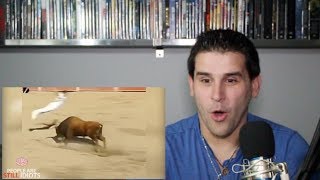 😂IMPOSSIBLE ODDS COMPILATION!!!😂 - REACTION