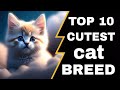 Uncover the 10 most irresistibly cute cat breeds you must see!