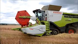 Зерноуборочный комбайн Claas LEXION 770 в работе.