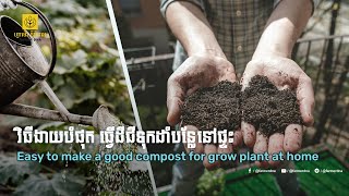 Agriculture Cambodia EP:14  វិធីងាយបំផុត ធ្វើដីជីទុកដាំបន្លែនៅផ្ទះ