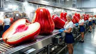 Inside The Wax Apple Factory Cleaning And Sorting Bell-Shaped Java Apples (Full Process)