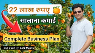 Orange Farming संतरे की खेती से लाखो की कमाई - संतरे की खेती कैसे शुरू करें - Business Idea