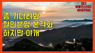 대구부동산 대구아파트 좀 기다려봐. 할인분양 본격화. 하지만 야개